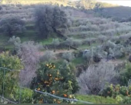 Casa rural El Chorritero Ovejuela