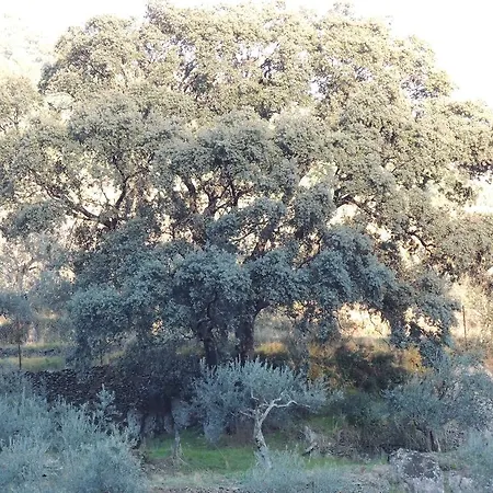 El Chorritero Ovejuela
